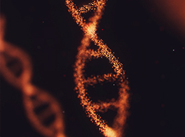 Graphic of DNA helix superimposed over micrograph of organisms.