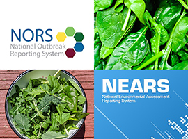 Graphic montage showing images of leafy greens with NORS and NEARS logos